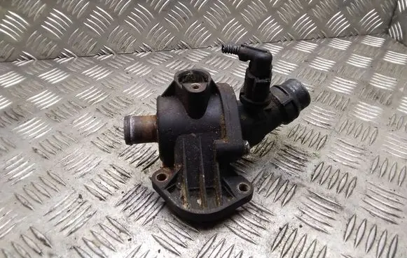 Thermostat/thermostat housing