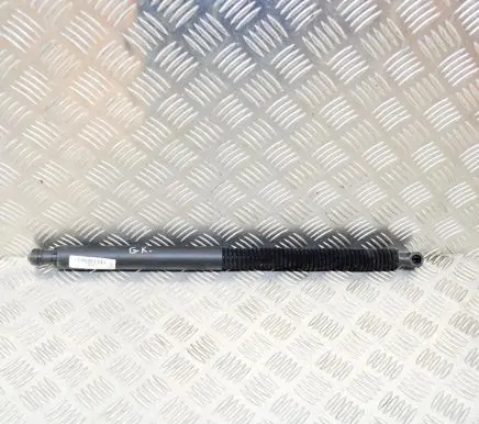 BMW X3 G01 Tailgate/trunk strut/damper 7397319