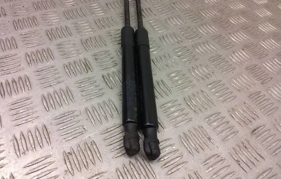Tesla Model 3 Tailgate/trunk strut/damper 109156000b