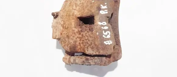 Nissan Primera Front brake caliper