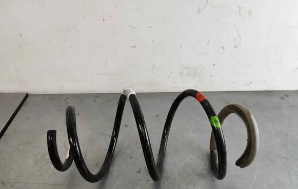 Renault Zoe Front coil spring 540101474R