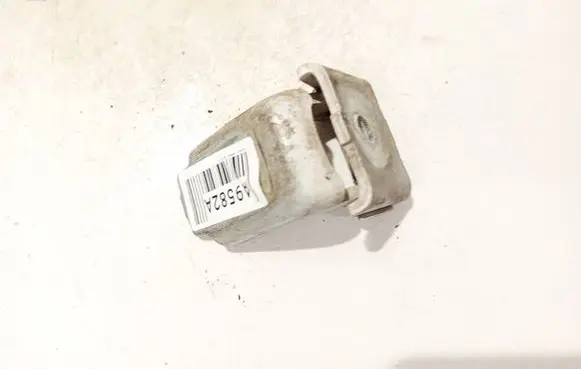 Renault Scenic III - Grand scenic III Rear door lower hinge