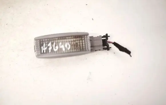 Volkswagen Phaeton Other interior light 3b0947113