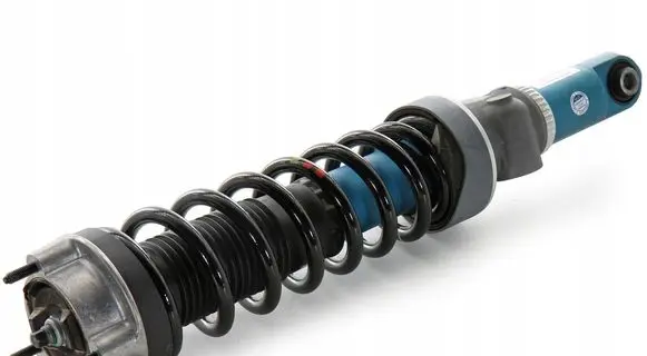 Mercedes-Benz AMG GT R190 C190 Rear shock absorber/damper A1903207500