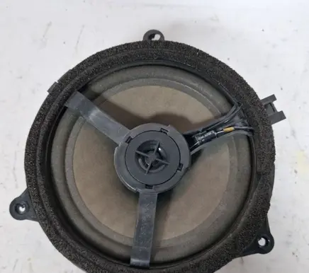 Rear door speaker