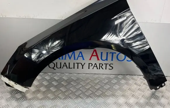 Ford Focus Fender