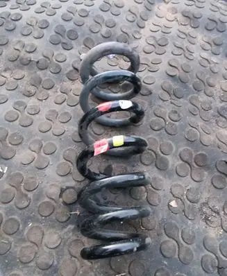 Rear coil spring
