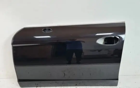 Porsche Panamera (970) Front door