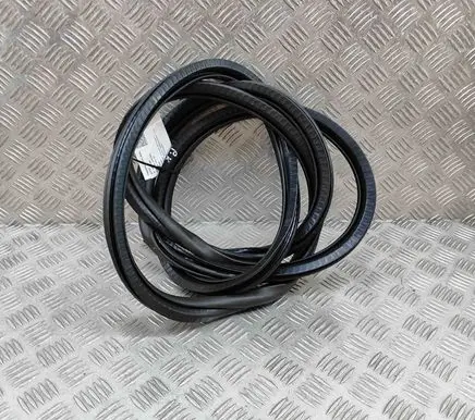 Citroen DS7 Crossback Rubber seal front coupe door 9811537480