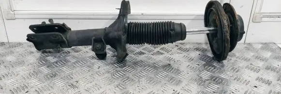 Hyundai Santa Fe Front shock absorber/damper