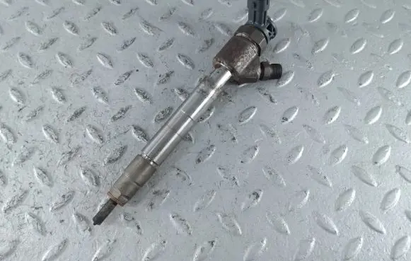 Citroen Berlingo Fuel injector 9828959880 0445110955