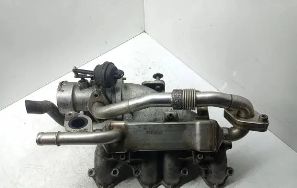 Seat Alhambra (Mk1) EGR valve cooler 038131513L