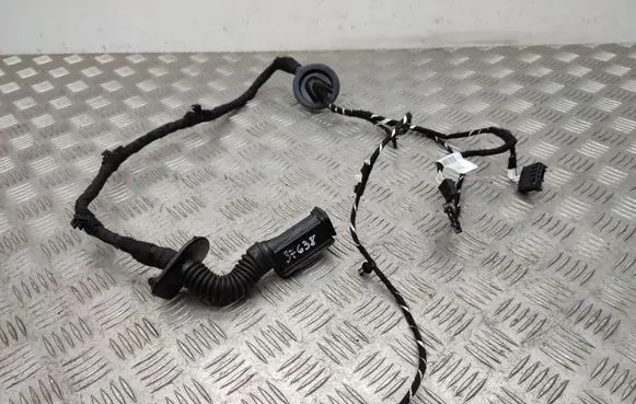 Volkswagen T-Roc Rear door wiring loom 2GA971694A