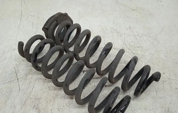 Rear coil spring