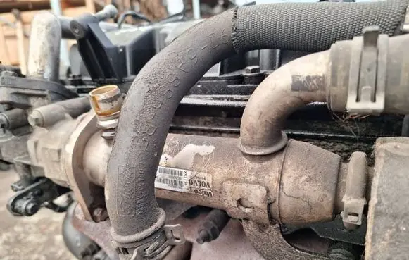 EGR valve cooler