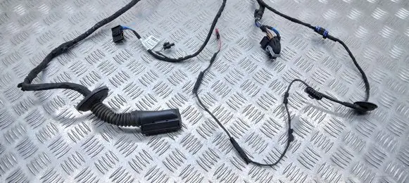 BMW X1 U11 Front door wiring loom 61125A43569 5A43569