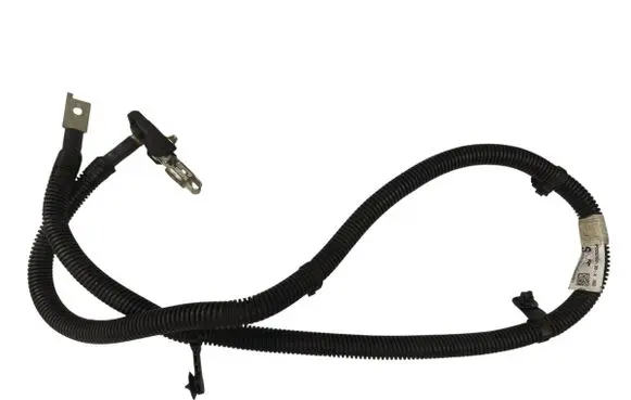 Tesla Model S Negative earth cable (battery) 209286000A