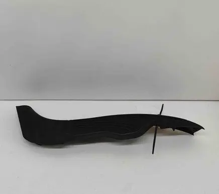 Rear/tail light trim molding