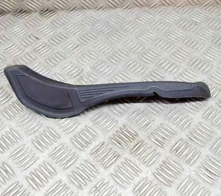 Rear/tail light trim molding