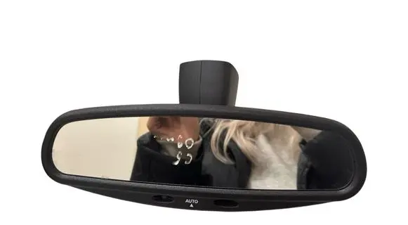 Citroen C5 Rear view mirror (interior) 026053 015904