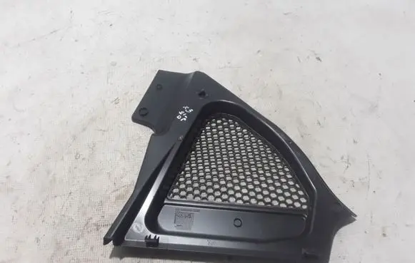 Engine bonnet/hood lock trim molding