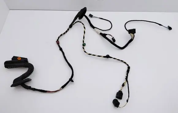 Volkswagen PASSAT CC Rear door wiring loom 3C8971694AN