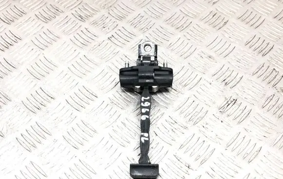 Ford Focus ST Front door check strap stopper 