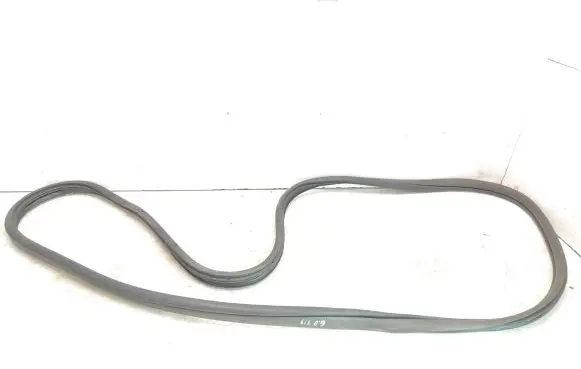 Rear door rubber seal (on body)