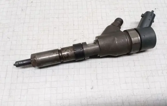 Peugeot 406 Fuel injector 9641742880 0445110076