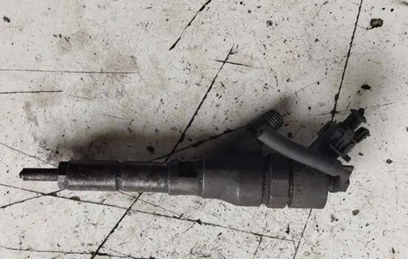 Citroen C5 Fuel injector 0445110062