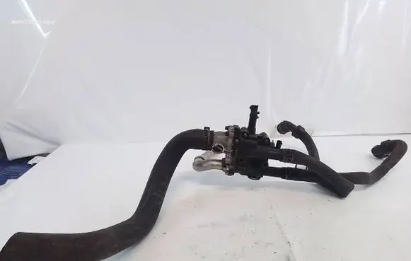 Thermostat/thermostat housing