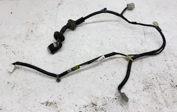 Rear door wiring loom