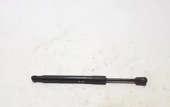 Tailgate strut