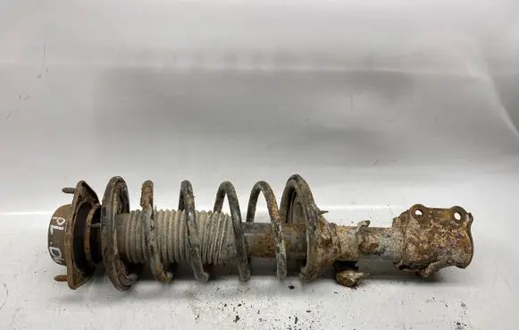 Hyundai Getz Front shock absorber with coil spring