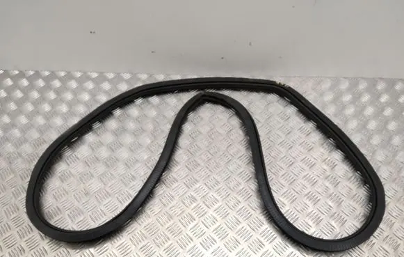 BMW iX Rear door rubber seal (on body) 8491451
