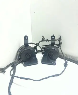 Horn signal