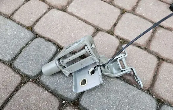 Renault Zoe Loading door hinge set 878539800000357433
