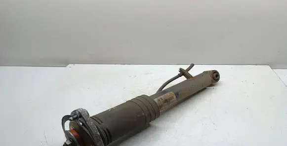 BMW X5 E70 Rear shock absorber/damper 6782875