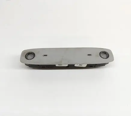 Tesla Model 3 Front seat light 109257400C