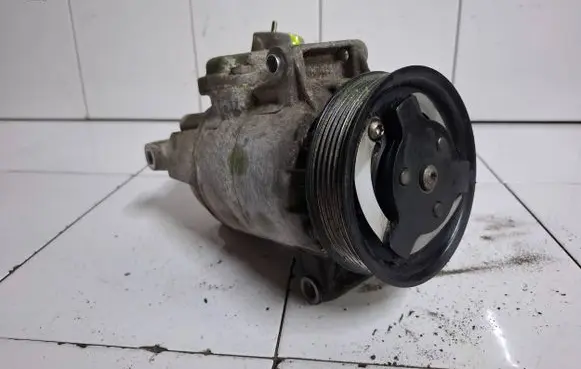 Skoda Roomster (5J) Air conditioning (A/C) compressor (pump) 5N0820803E 011405620004 10172040821D