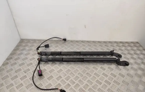 Tailgate strut