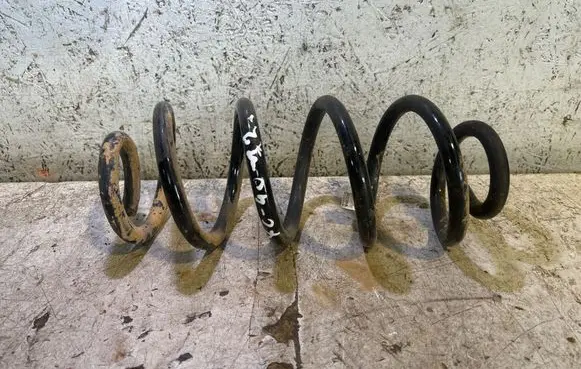 Rear coil spring