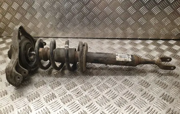 Seat Exeo (3R) Front shock absorber with coil spring 3R0413031