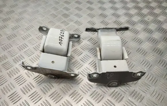 Renault Trafic III (X82) Loading door hinge set 904006707R 904108626R