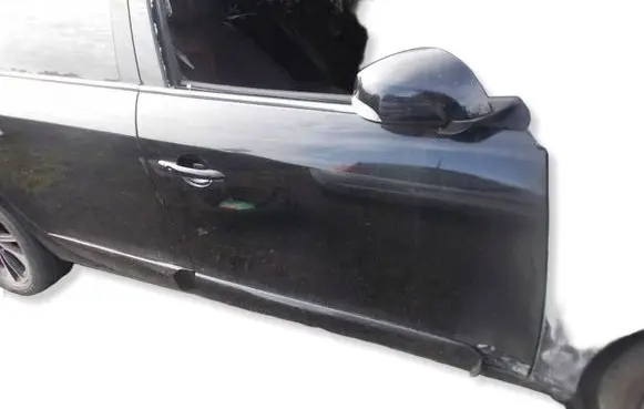 Renault Megane III Front door 