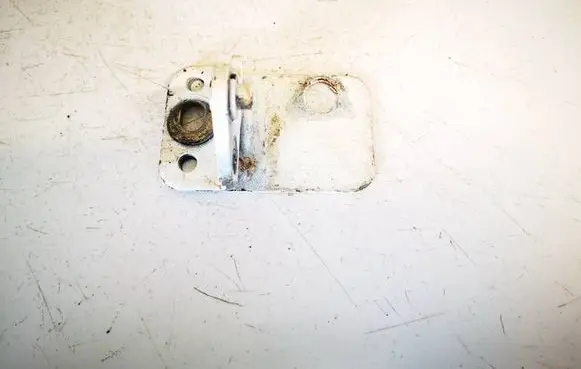 Porsche Cayenne (9PA) Rear door lower hinge