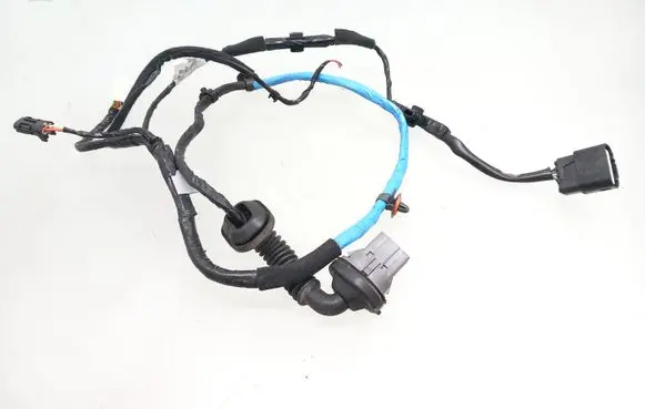 Hyundai i10 Rear door wiring loom 91660B9070