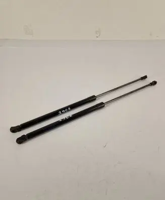 Nissan Qashqai Tailgate/trunk strut/damper 904504EA0A