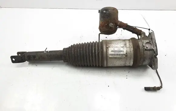 Audi A8 S8 D3 4E Rear shock absorber/damper 4E0616001E