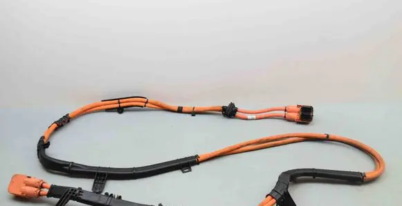 BMW 3 G20 G21 Other wiring loom 7619781